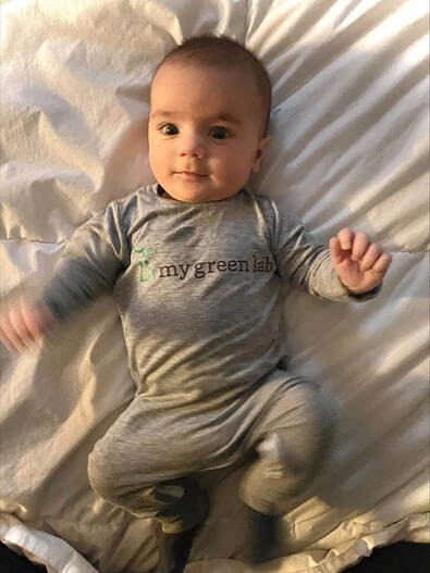 my green lab baby in zipease romper