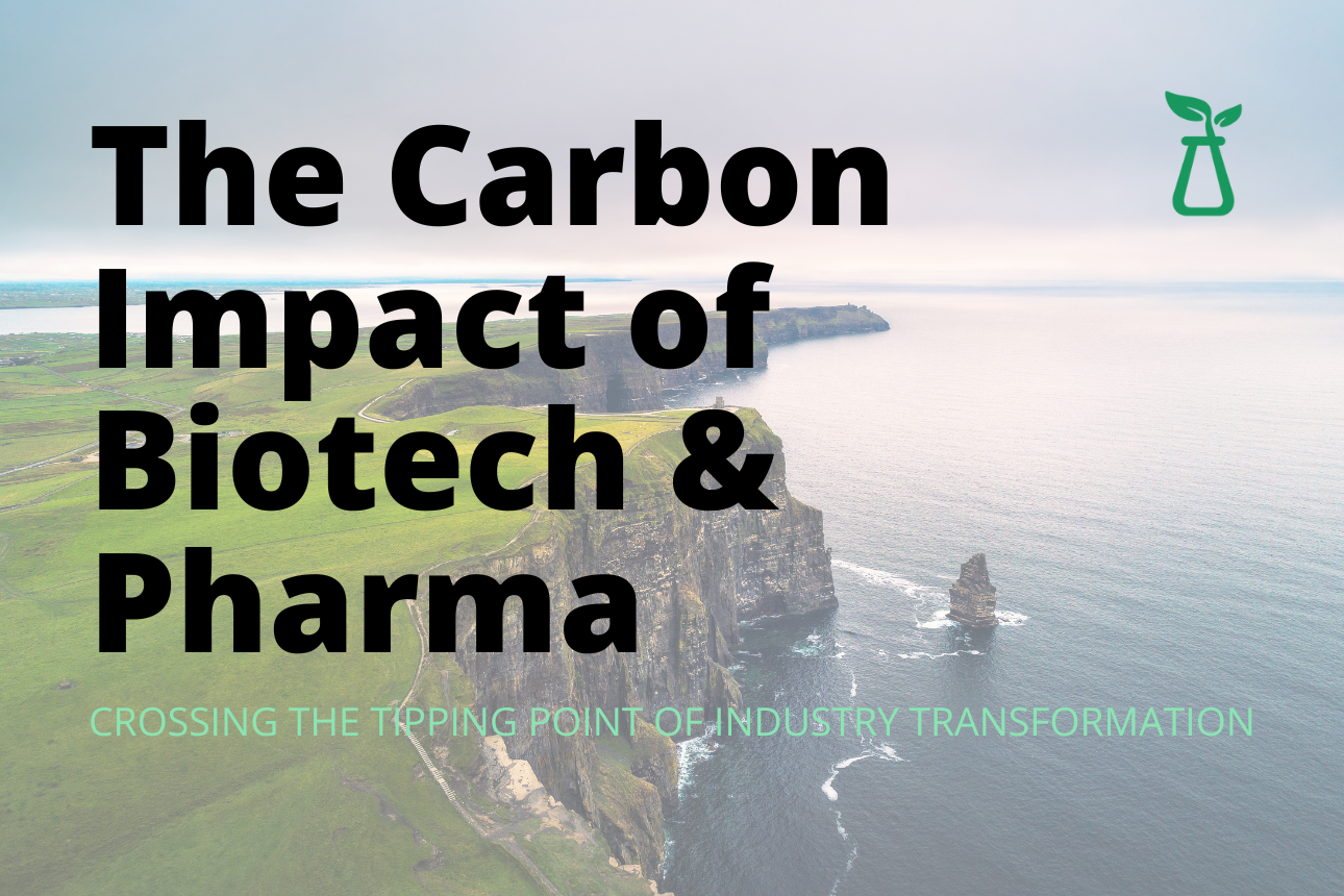grassy cliff clear ocean carbon impact report
